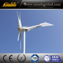 Generador de turbina de viento del precio de fábrica de la buena calidad 1200W